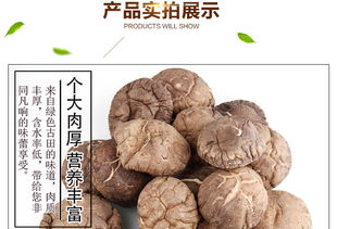 福建特產 富農園香菇208g 特級冬菇中的健康休閑美食