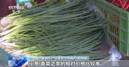 高溫炙烤下的民生守護 四川多地延期開學，全力保障農產品供應