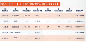 百家風(fēng)控公司揭秘系列 第91期——征信公司及產(chǎn)品調(diào)研報(bào)告與市場(chǎng)調(diào)查深度解析