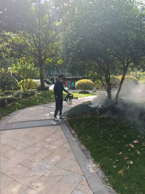 南京白蟻防治綜合對比 關鍵維度選型分析，助你精準選擇白蟻防治服務