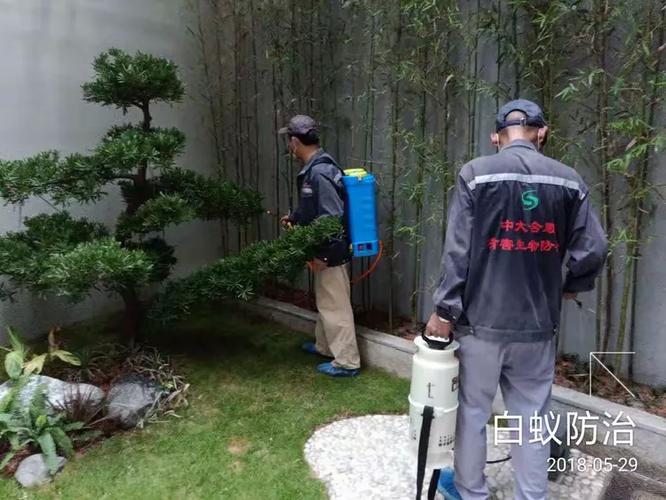 華僑城波托菲諾香山里二期10棟二單元1D白蟻防治服務作業記錄