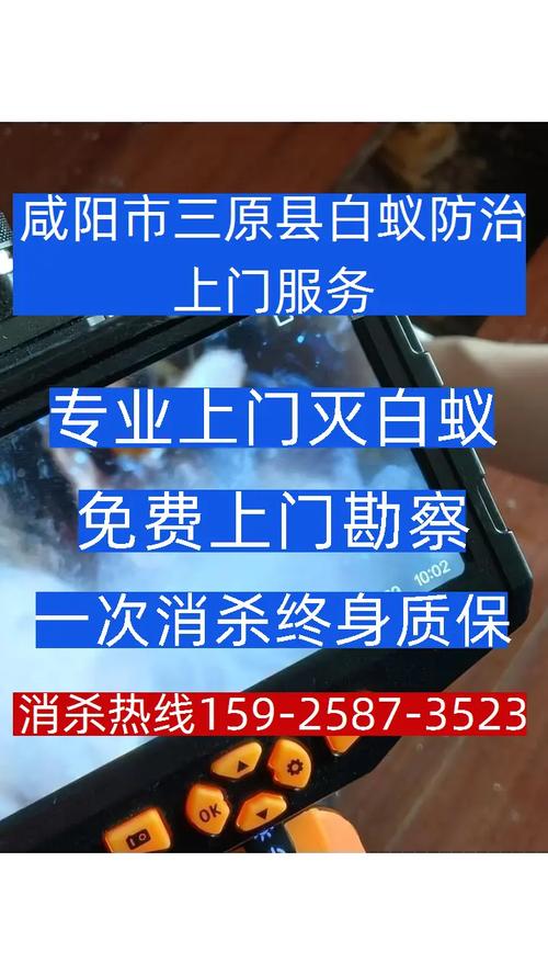 咸陽市三原縣白蟻防治上門服務全指南 如何找到正規消殺電話？
