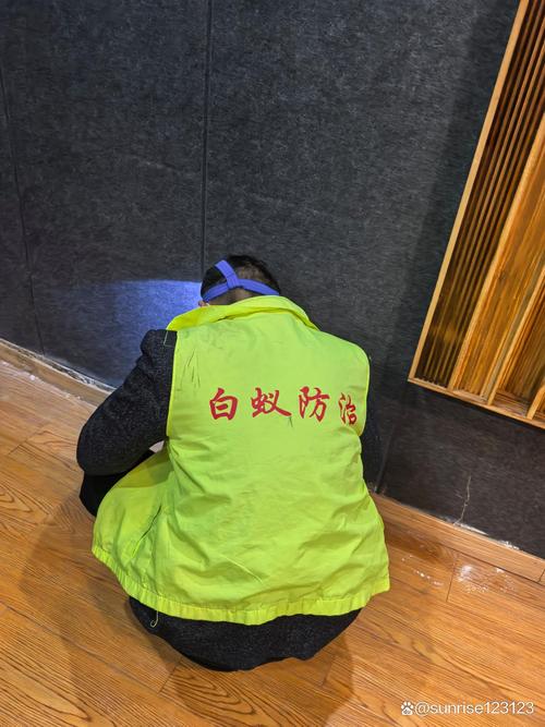 專業白蟻防治服務 守護家園與企事業單位的安心之選