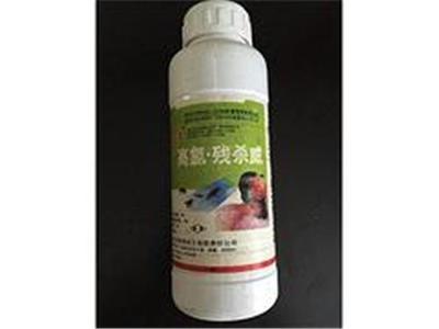 喜旺科技白蟻防治站-具有口碑的白蟻專業用藥服務提供商:怎樣消滅白蟻