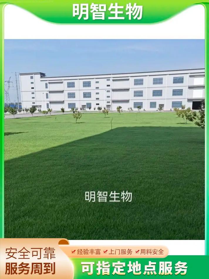 321 關注 長沙工廠白蟻防治公司,服務熱線:15367129973滅白蟻產品能